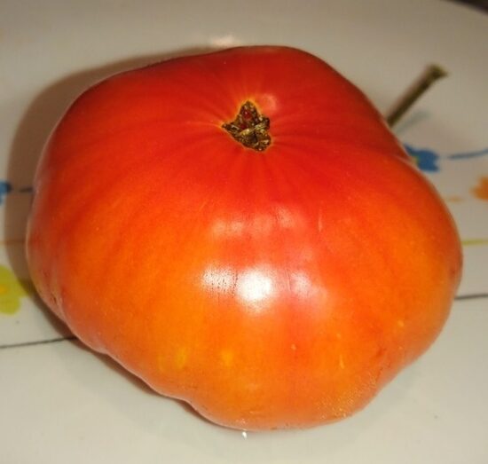 Гном Фероковкай